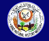 مركز بحوث ومتحف التاريخ الطبيعي